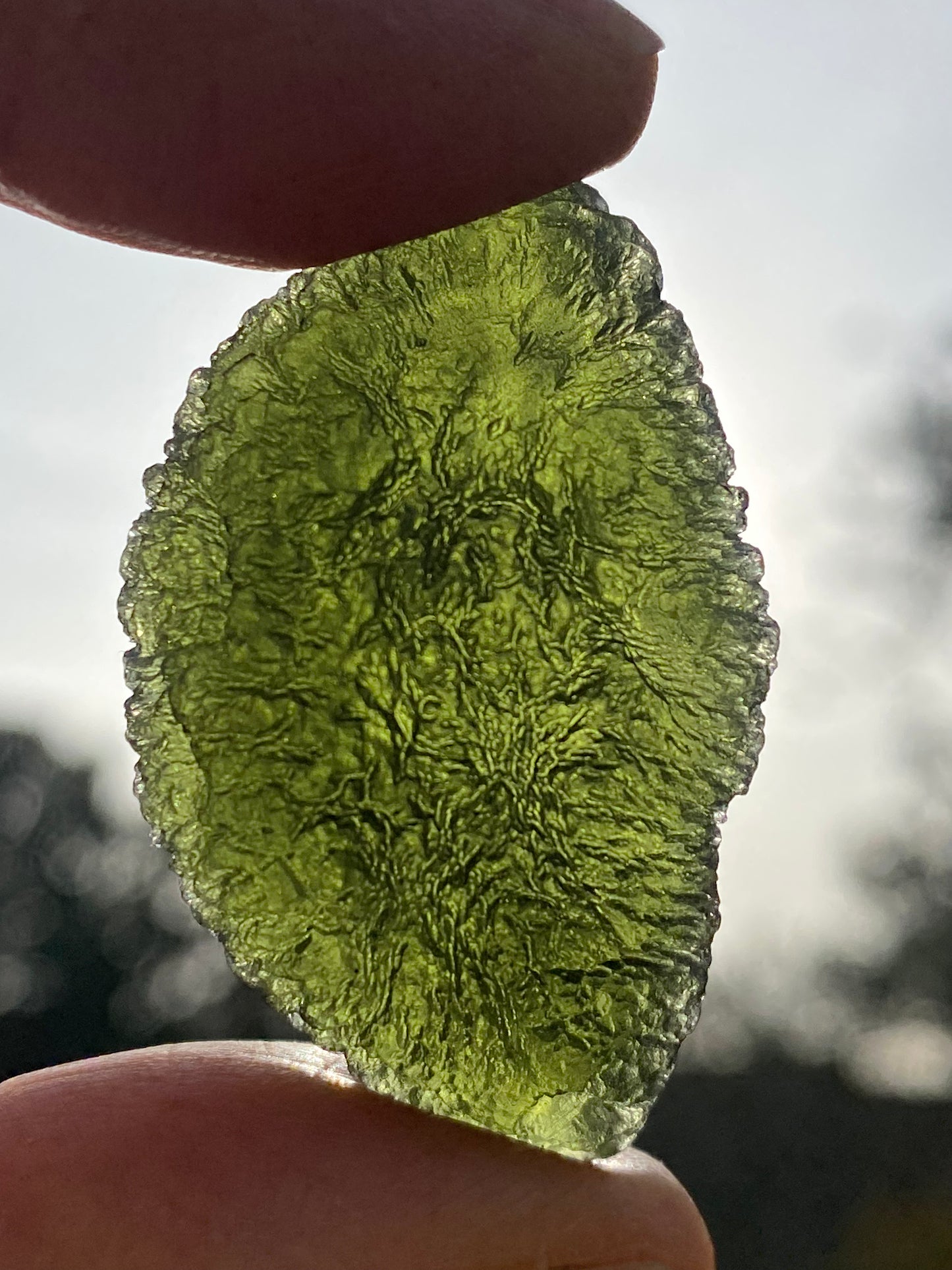 Chlum Moldavite Specimen 14 grams