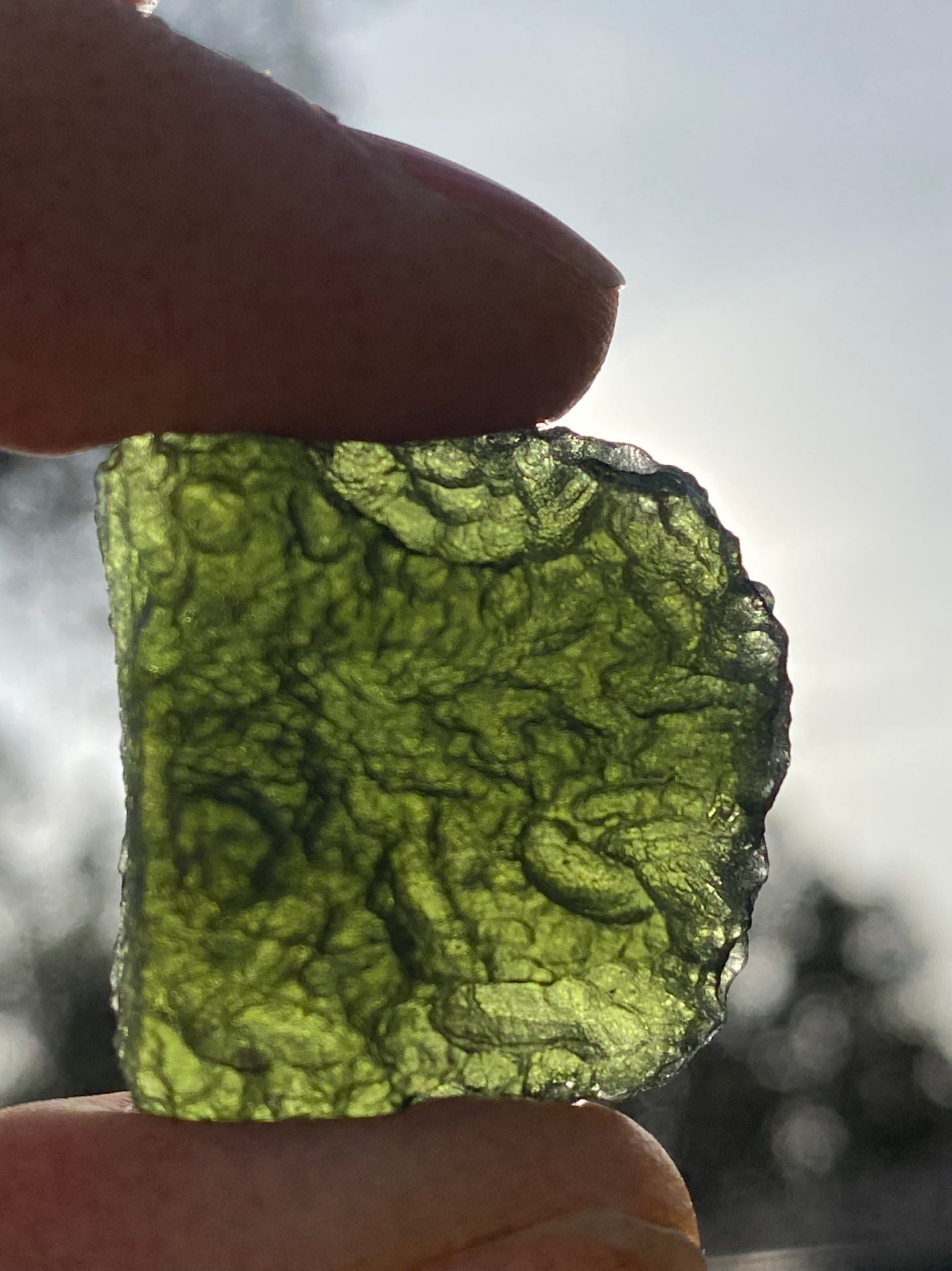 Chlum Moldavite Specimen 13 grams