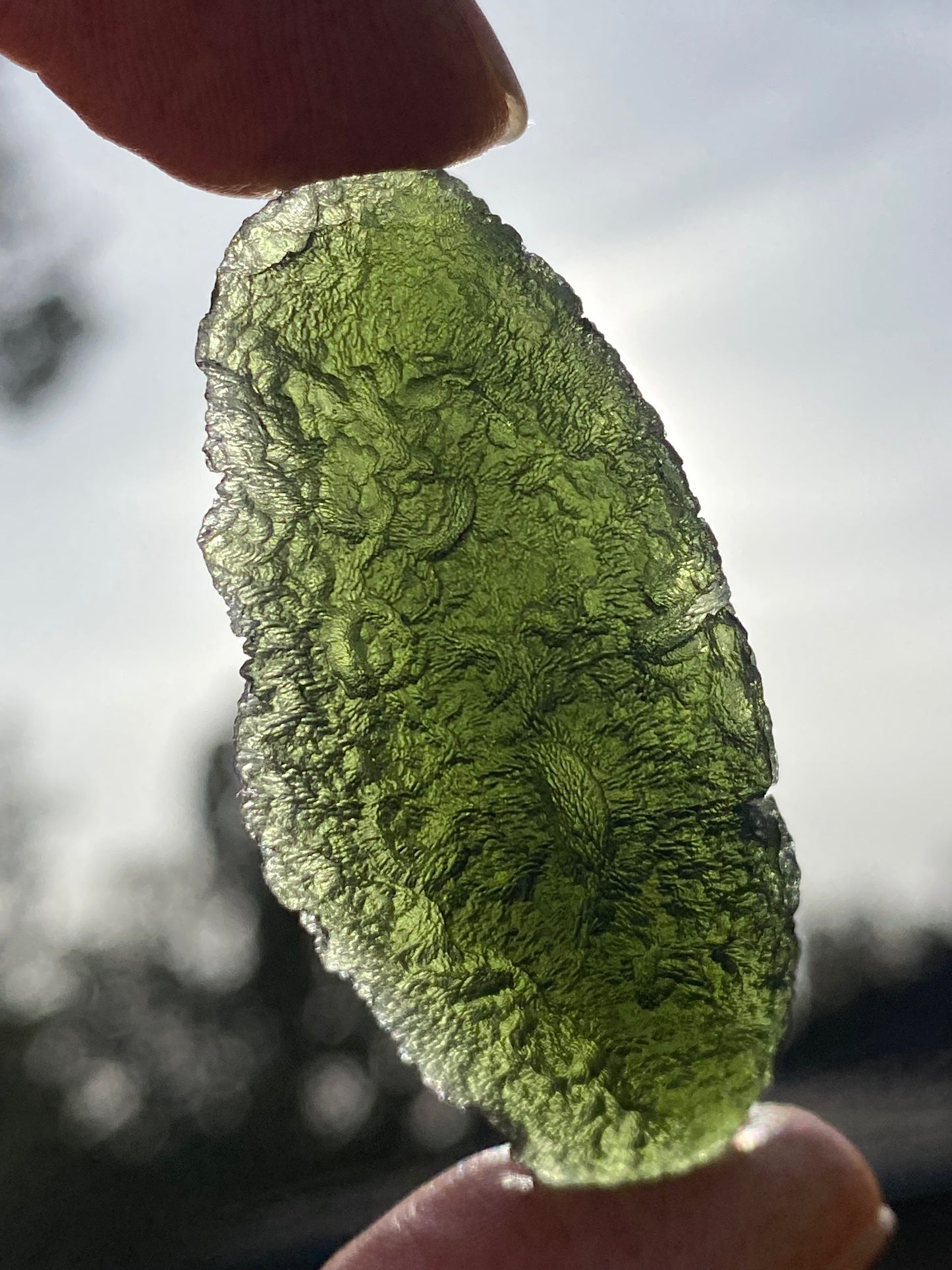 Chlum Moldavite Specemin 14.7 grams