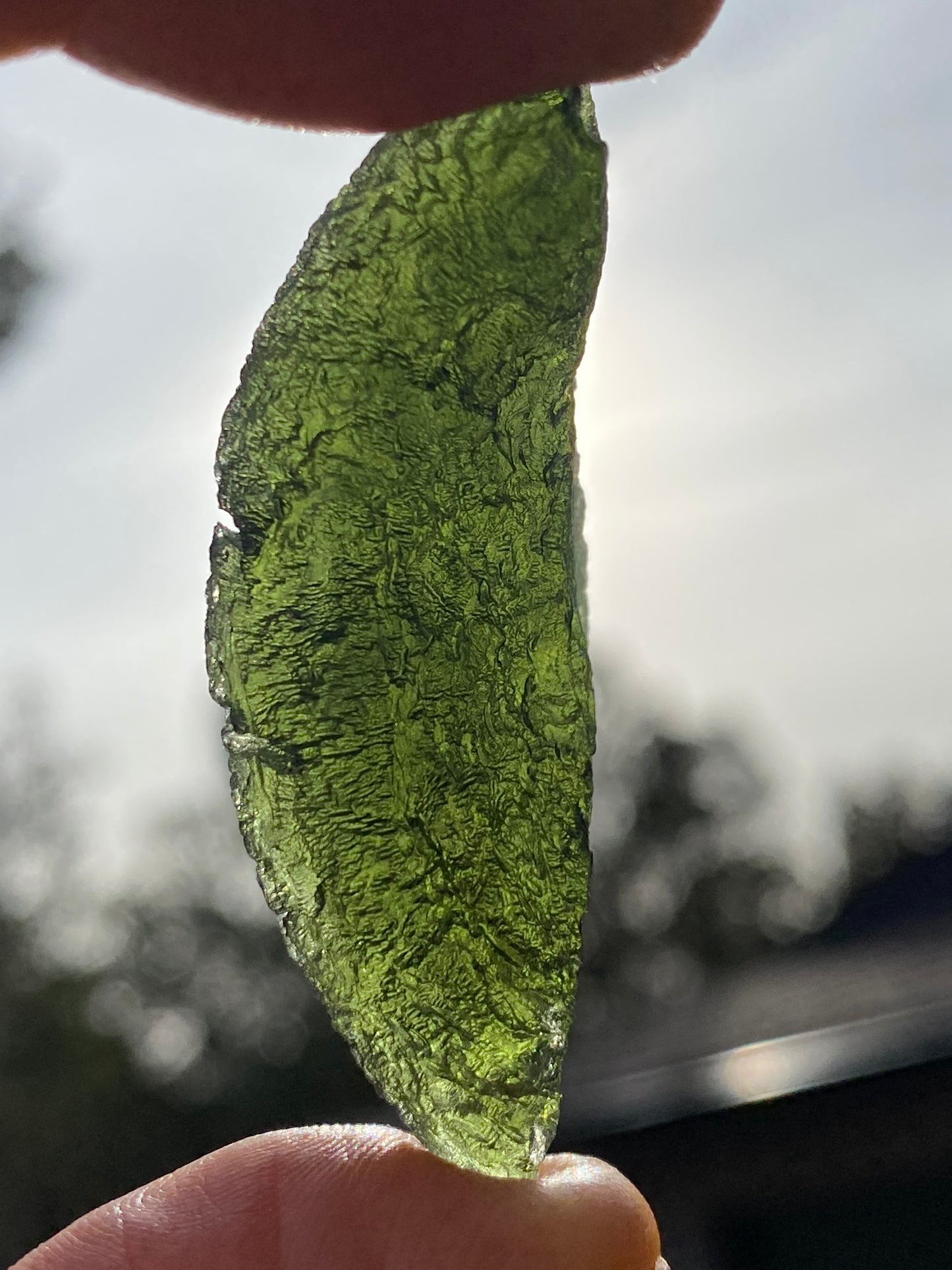 Chlum Moldavite Specemin 14.7 grams