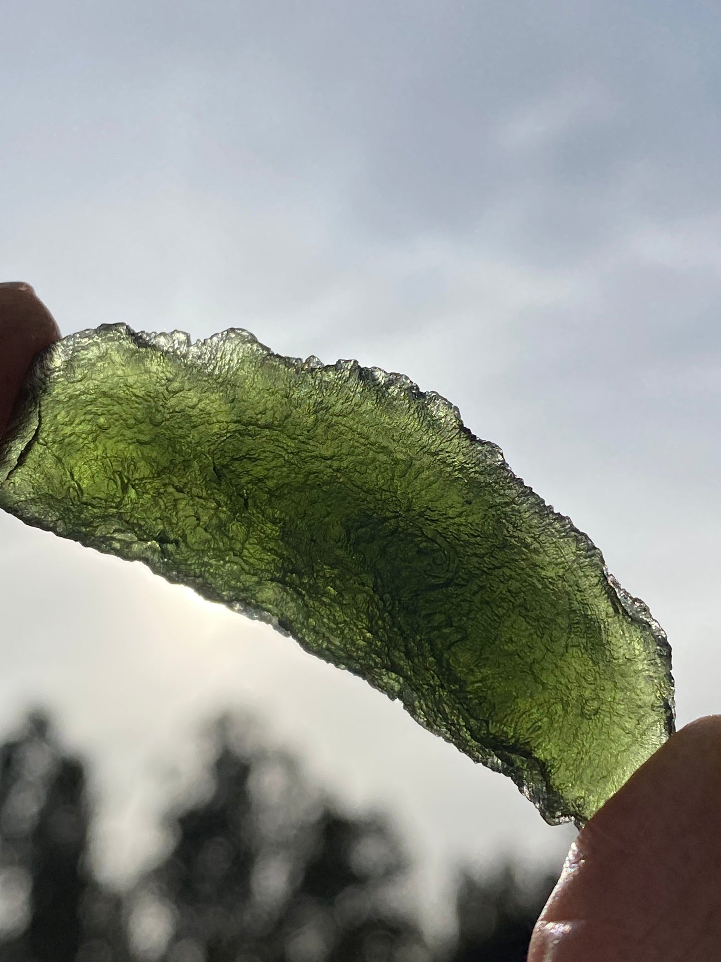 Chlum Moldavite Specemin 14.7 grams