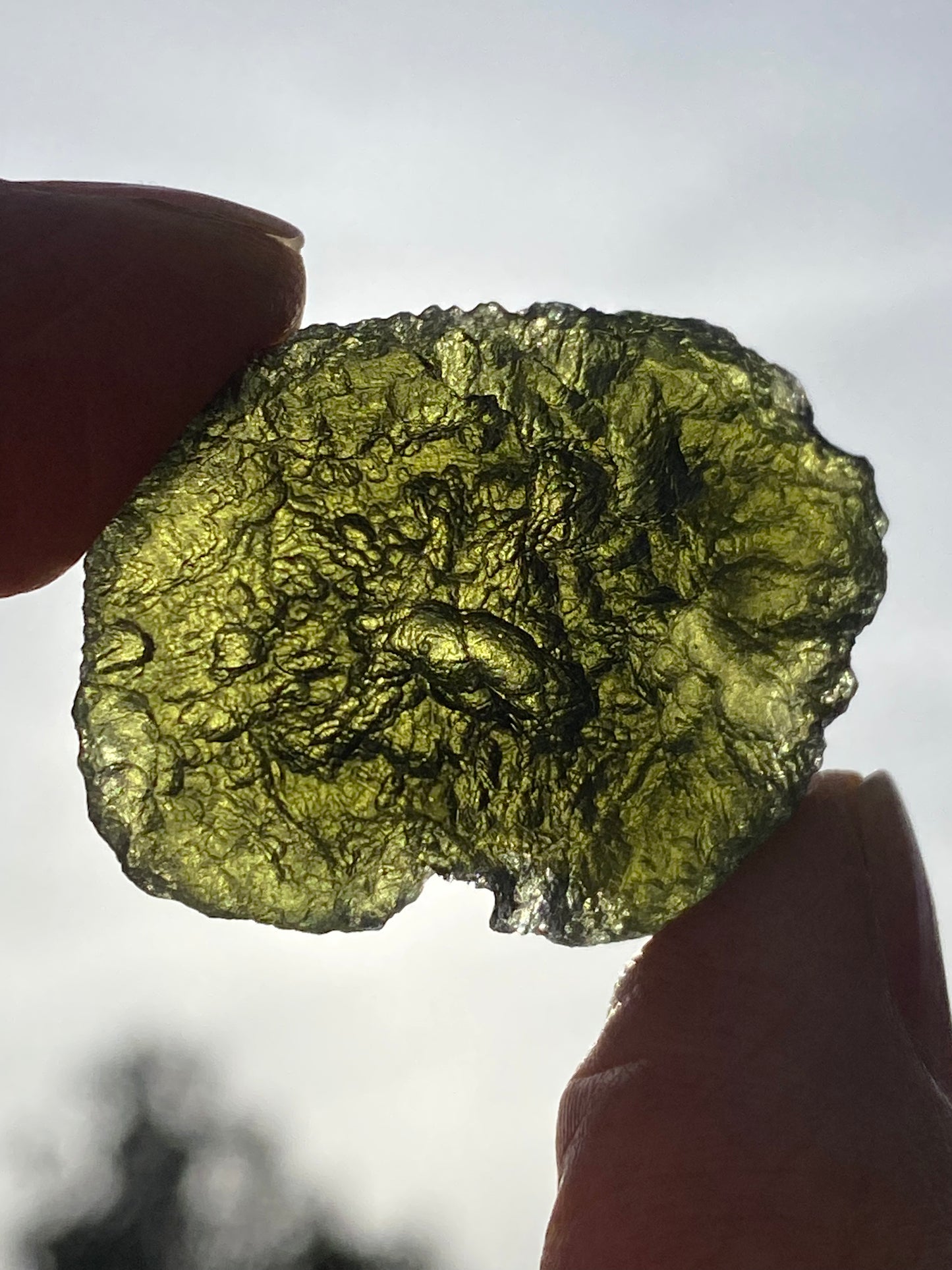 Chlum Moildavite 9.6 grams