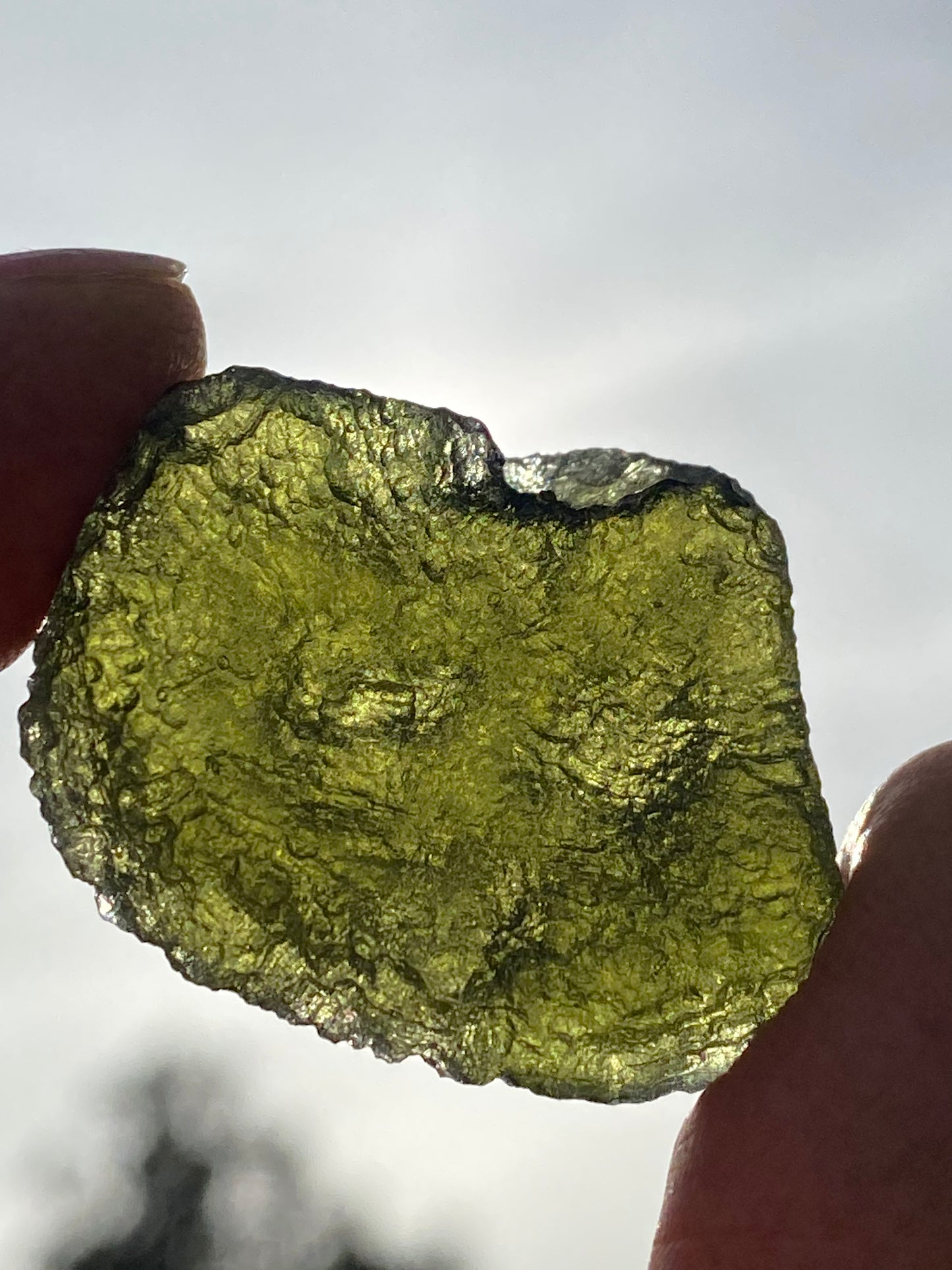 Chlum Moildavite 9.6 grams