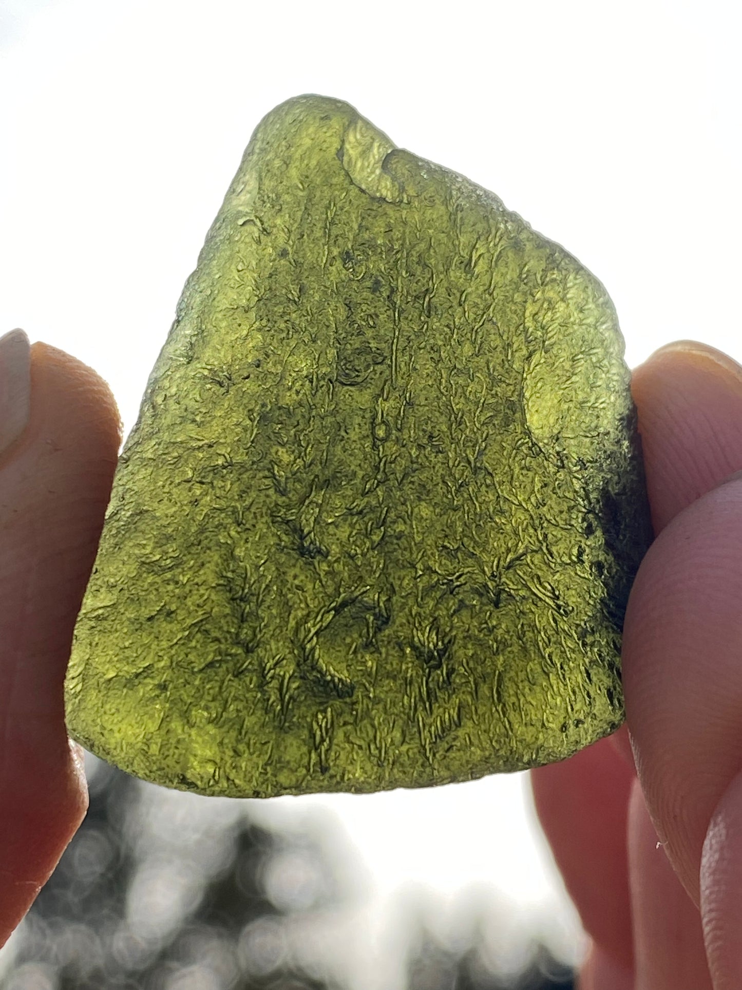 Chlum Moldavite Drop 12.6 grams