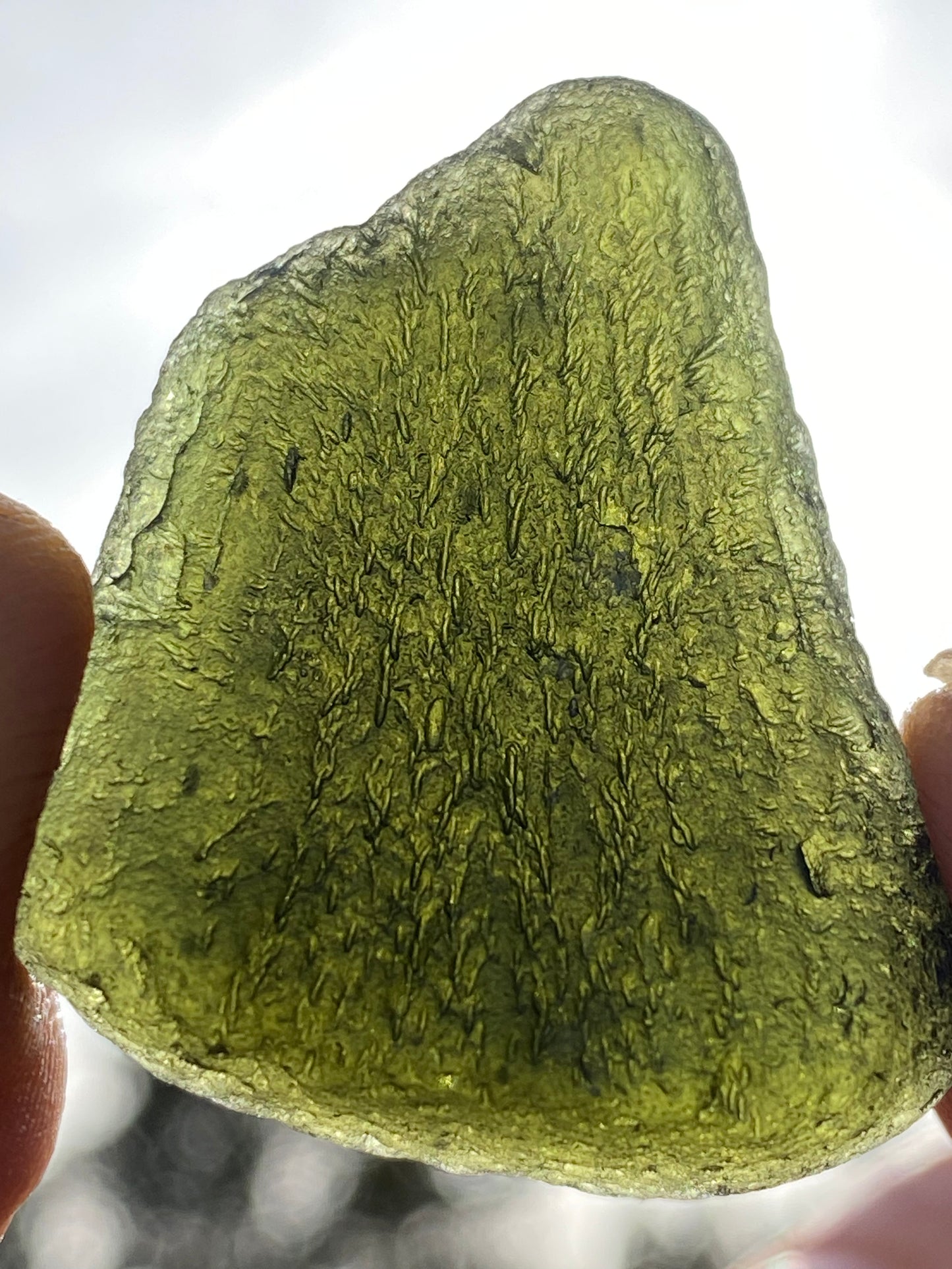 Chlum Moldavite Drop 12.6 grams