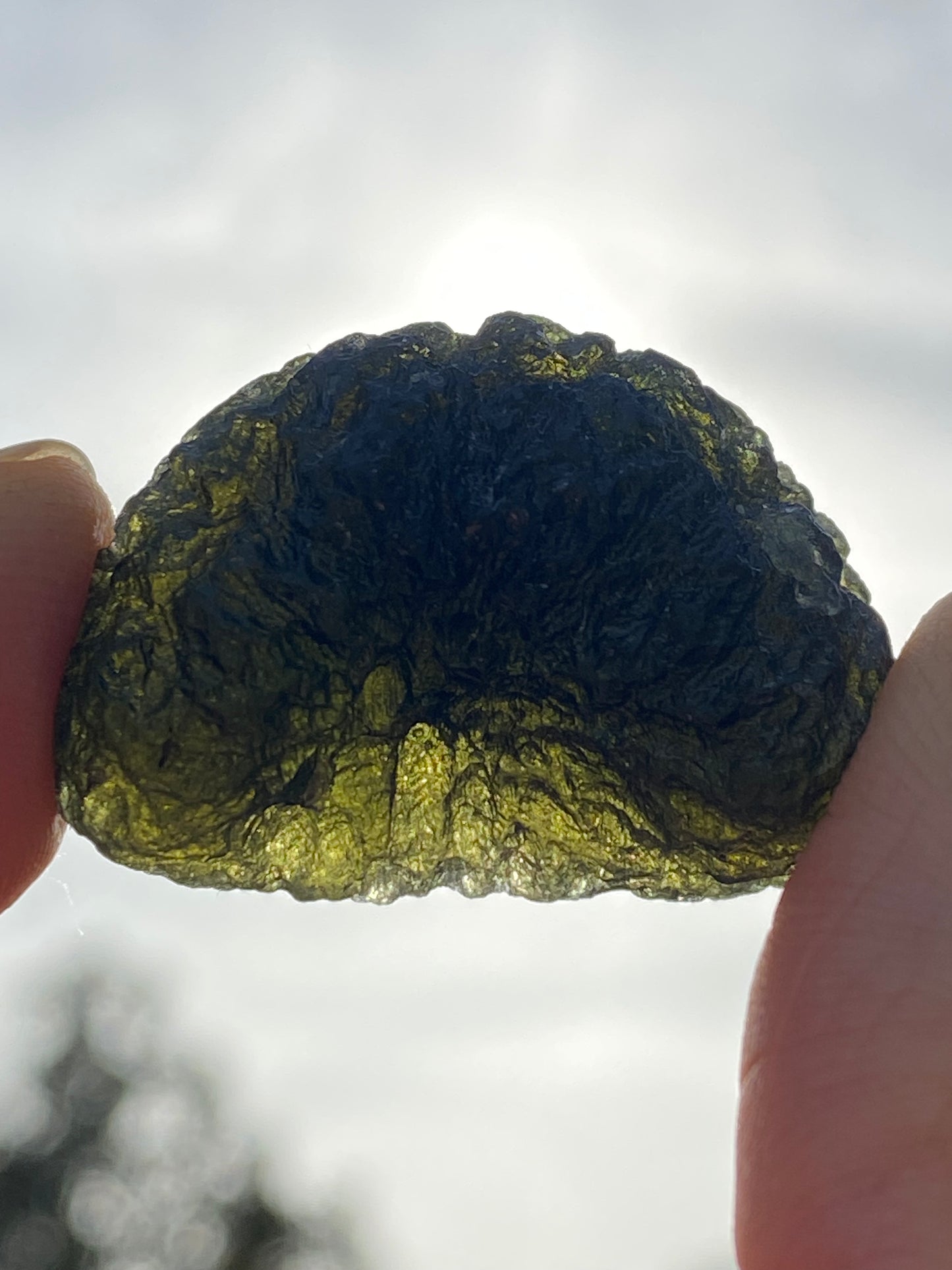 Chlum Moldavite 13.5 grams