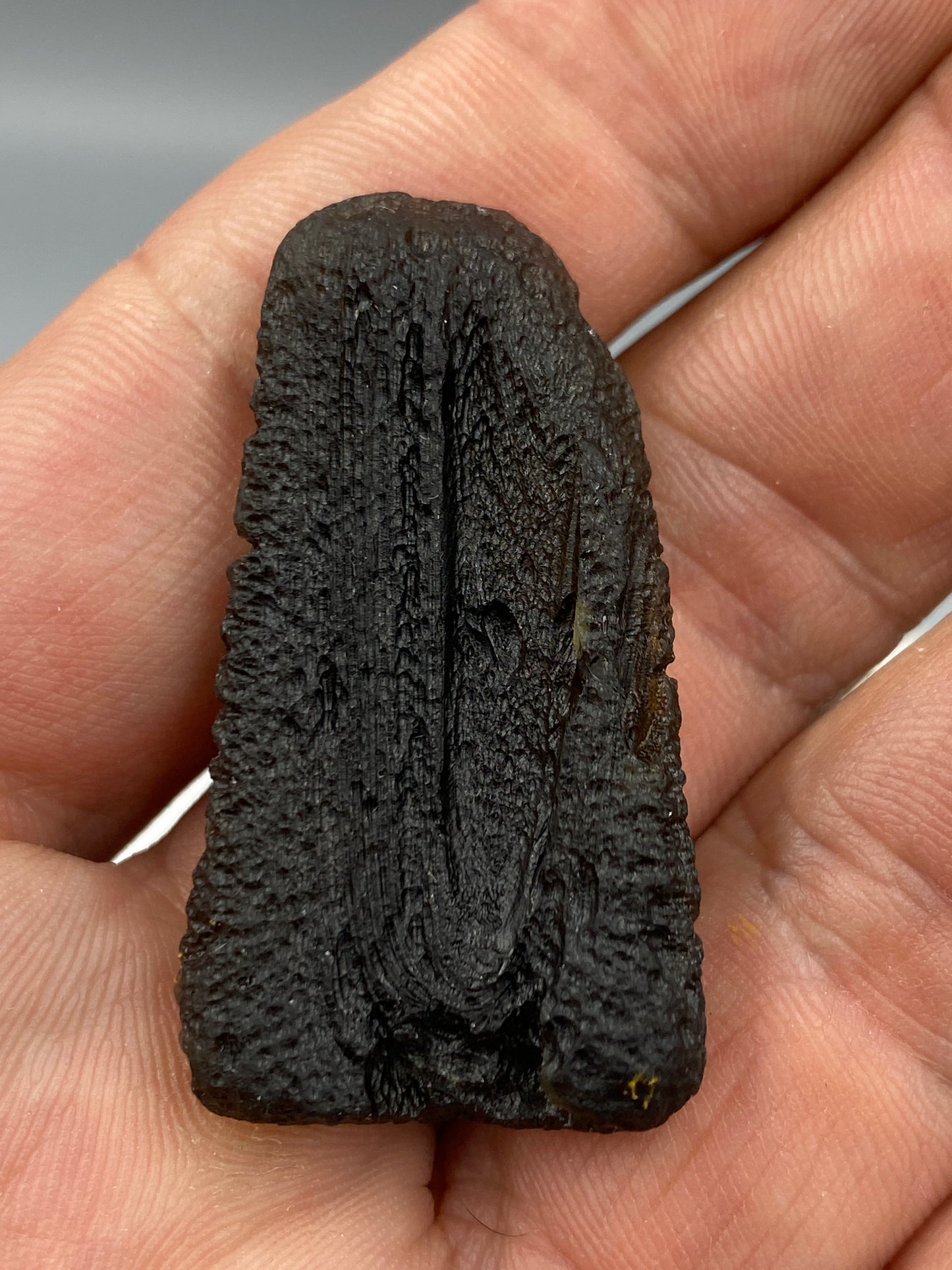 Rare Chlum Moldavite Drop 10.6 grams